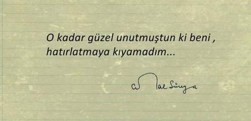 Erzurumlu Ferit Torunoğlu’ndan Gurbet şiiri