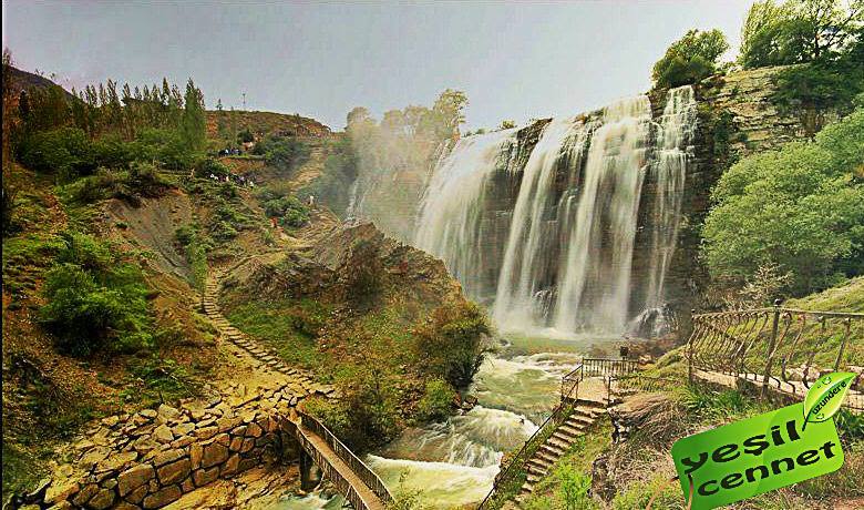 12799436_908091465970755_5142065314137874044_n